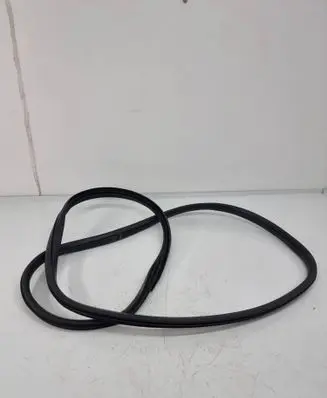 Nissan Ariya Rear door rubber seal (on body) 