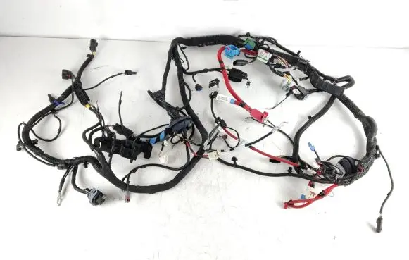 Tesla Model Y Other wiring loom 248905801C