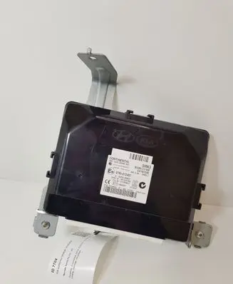 Hyundai Santa Fe Other control units/modules 954802W500