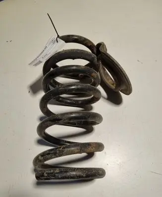 Rear coil spring
