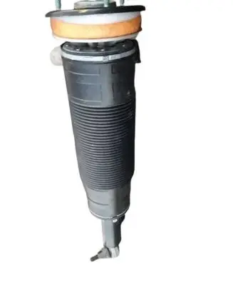Mercedes-Benz S W221 Front shock absorber/damper A2213206513