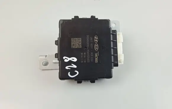 KIA Sorento Other control units/modules 95655C5600