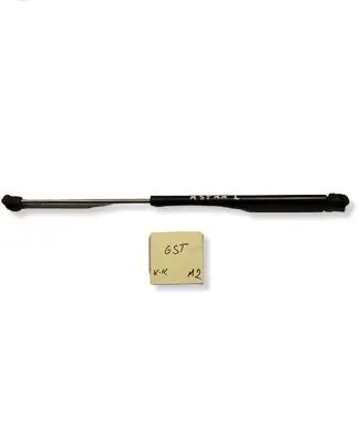Opel Astra G Tailgate strut 0132670