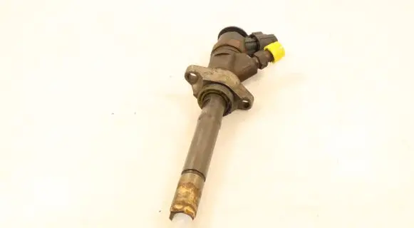 Citroen C4 I Picasso Fuel injector 0445110297