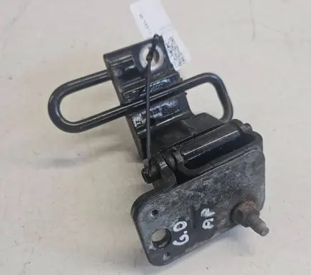 Rear door lower hinge