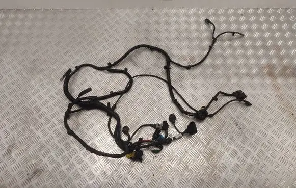 BMW 5 G30 G31 G38 Gearbox/transmission wiring loom 8596722 EMN747B 1Z05624180