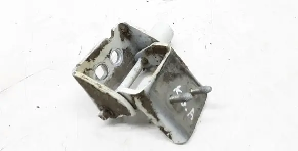 Renault Modus Rear door lower hinge