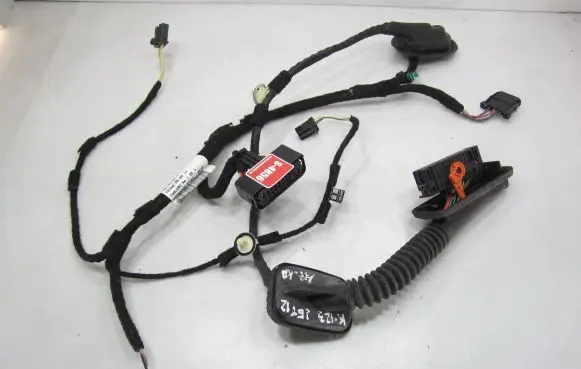 Volkswagen Jetta VI Rear door wiring loom 5C7971693E 7621401
