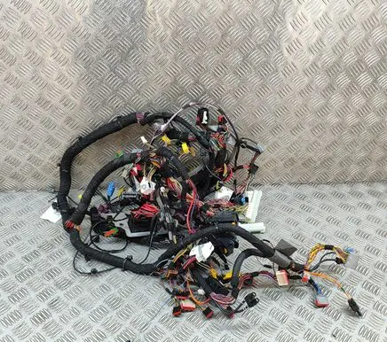 Aston Martin DB11 Other wiring loom LY5314K024EA