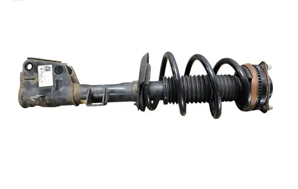 Chrysler Pacifica Front shock absorber with coil spring P68294076AE 824904012360 68294076AE