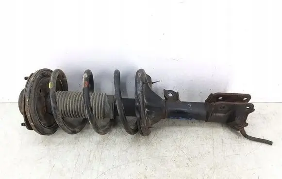 Hyundai Santa Fe Front shock absorber with coil spring