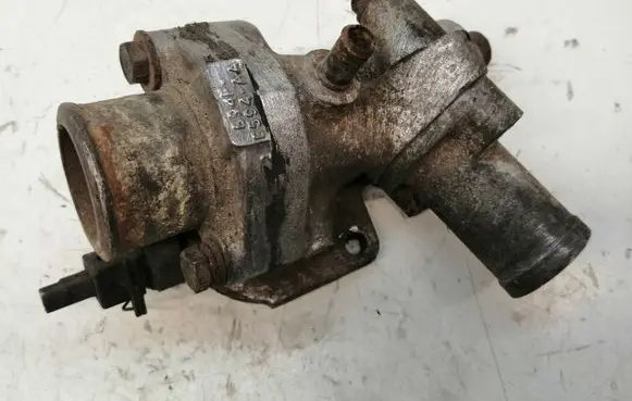 Thermostat/thermostat housing