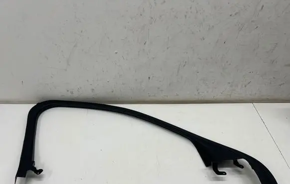 Ford Mustang Mach-E Front door glass trim molding LJ8BR201A19AEW