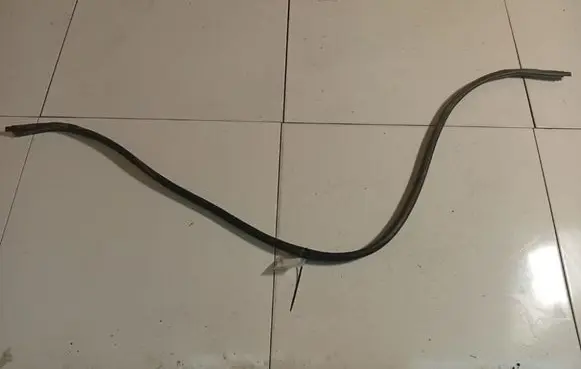 Audi A6 S6 C5 4B Engine compartment rubber 