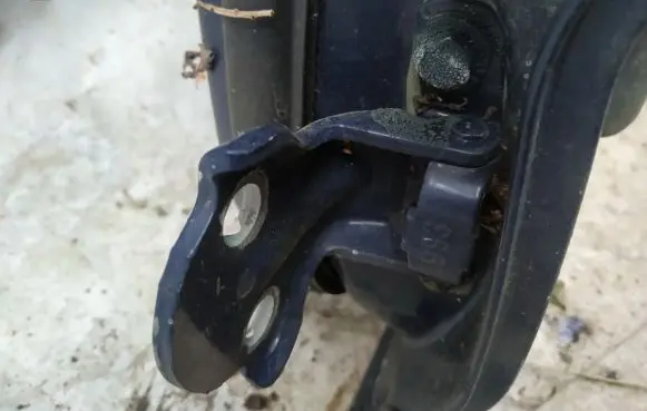 Rear door lower hinge