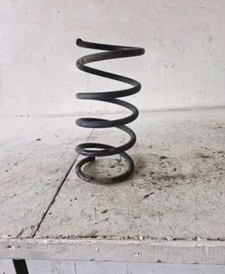 Rear coil spring