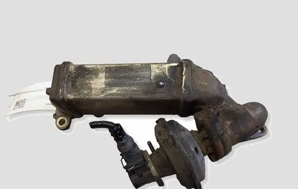 BMW 1 E81 E87 EGR valve