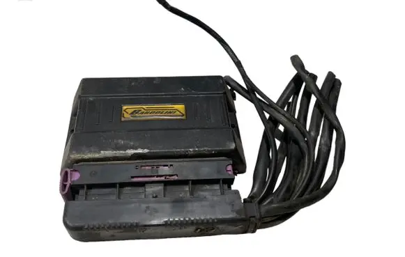 BMW 3 E36 LP gas control unit module 110R004898 03092012