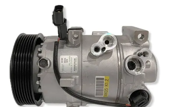 Hyundai i20 (PB PBT) Air conditioning (A/C) compressor (pump) F500ALEAC04 F500ALEAC05