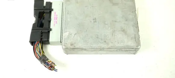 Engine control unit/module ECU