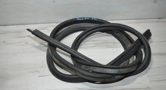 Trunk rubber seal (body)