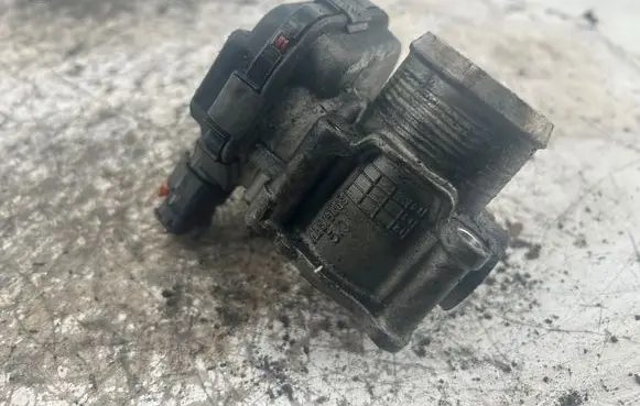 Citroen C4 Grand Picasso Throttle valve 9673534480 28275019
