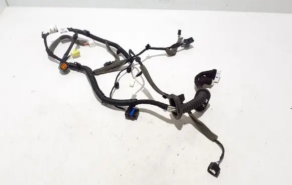 Other wiring loom