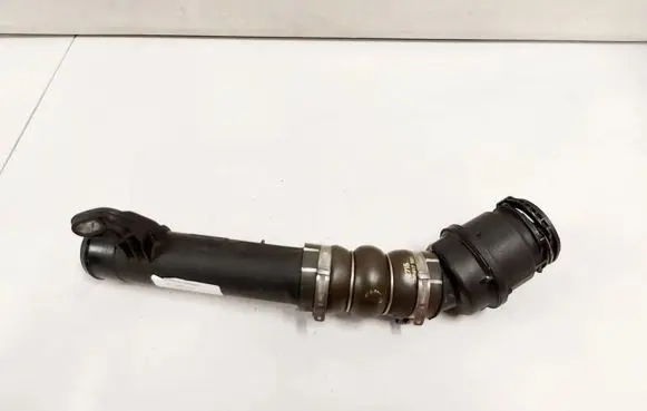 Nissan Qashqai Intercooler hose/pipe 1107586S01