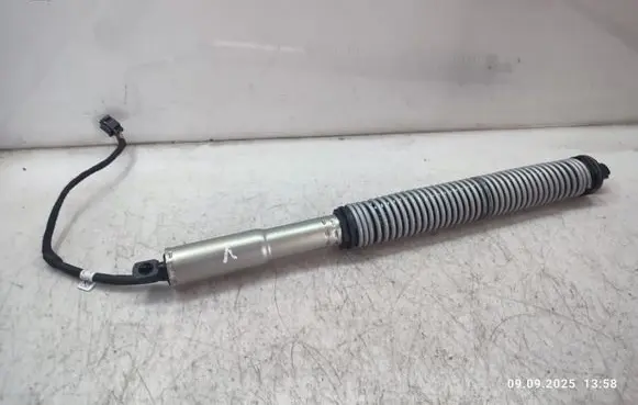 Tailgate/trunk strut/damper