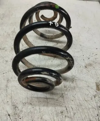 Volkswagen PASSAT B5.5 Rear coil spring