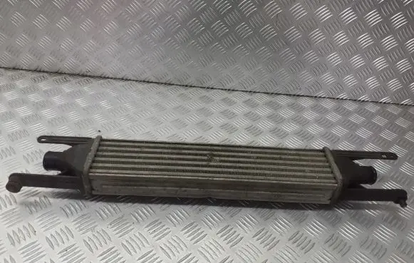 Fiat Punto (188) Intercooler radiator