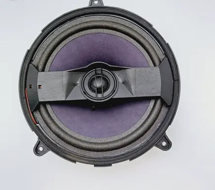 Rear door speaker