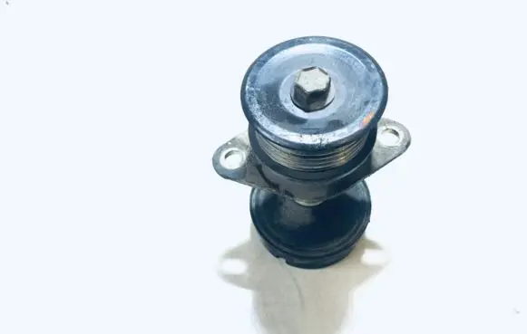 Ford Focus Alternator pulley tf10924 tf-1092-4