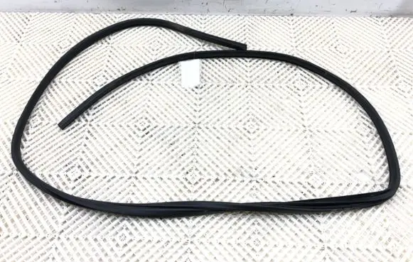 Mitsubishi Outlander Rubber seal front door (on door) 