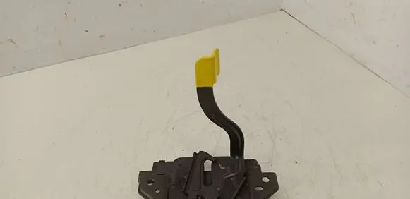 Ford C-MAX II Engine bonnet/hood lock/catch AM5A16700