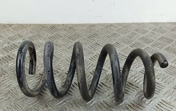 Rear coil spring