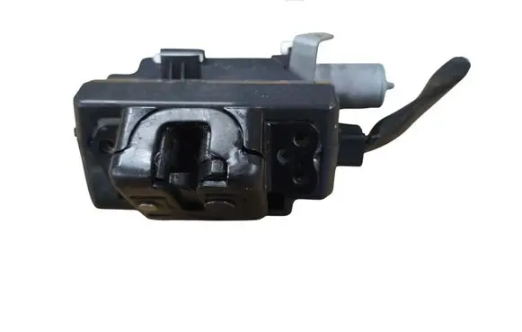 Toyota RAV 4 (XA50) Loading door lock 1638000790 T5161382A