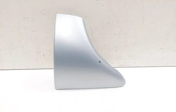 Renault Espace - Grand espace IV Roof bar rail cover 8200095861