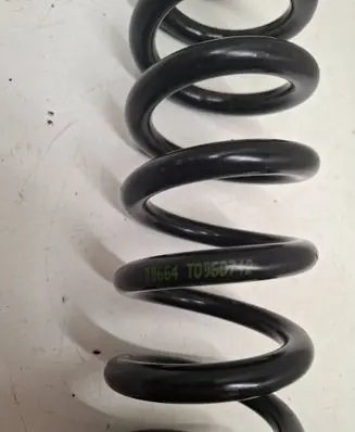 Rear coil spring