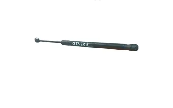 Tailgate/trunk strut/damper