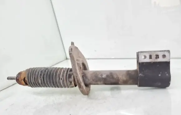 Citroen C4 I Picasso Front shock absorber/damper
