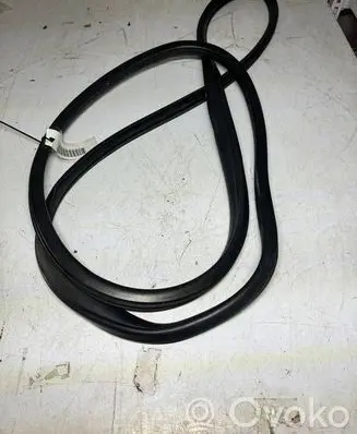 Honda Insight Front door rubber seal 