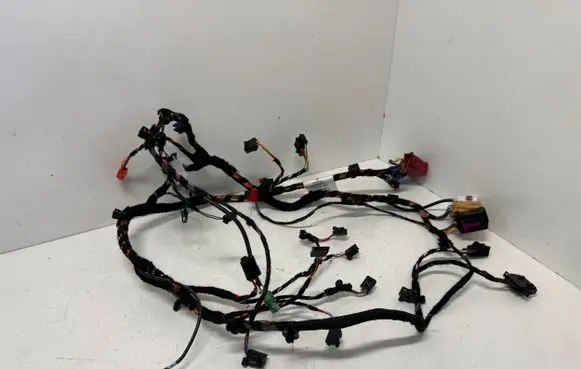 Audi E-tron GT Other wiring loom 4J3971641G