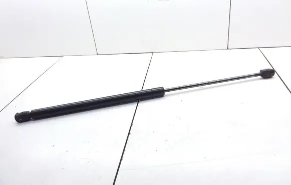 Tailgate/trunk strut/damper