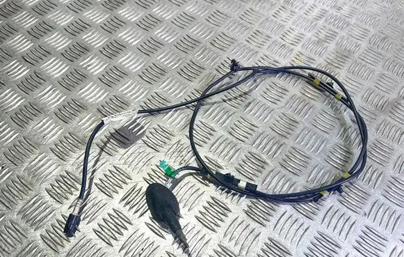 Ford Ka Radio antenna 244661 51814137