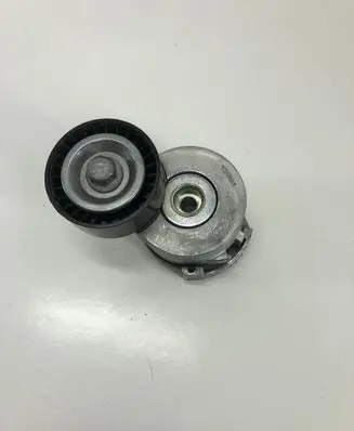 Citroen DS5 Alternator belt tensioner T39186