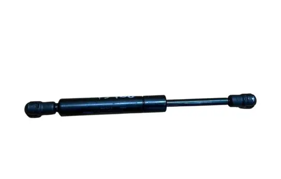 Tailgate/trunk strut/damper