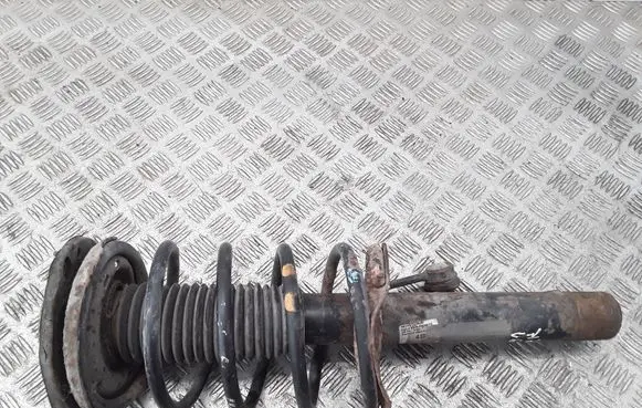 Peugeot 206 Front shock absorber with coil spring