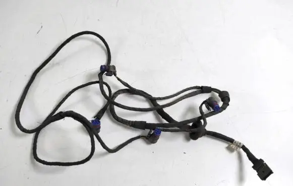 Mercedes-Benz CLS C219 Parking sensor (PDC) wiring loom A2195404605