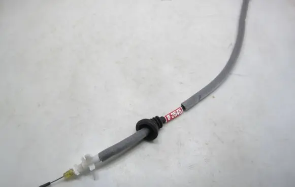 Rear door cable line